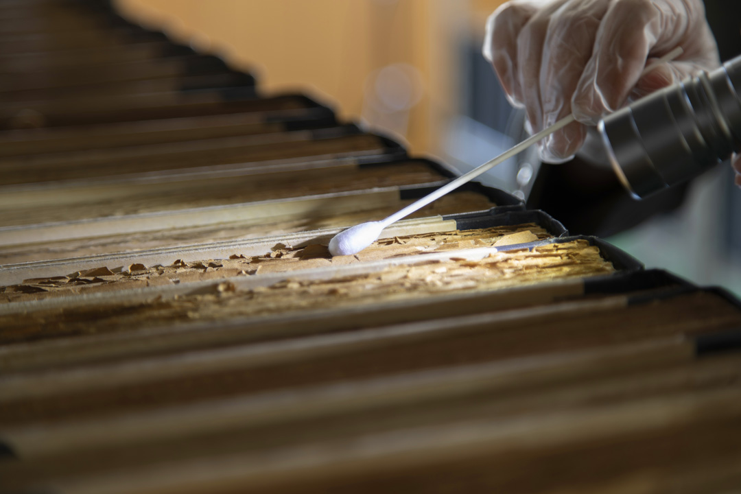 文化財IPM作業イメージ